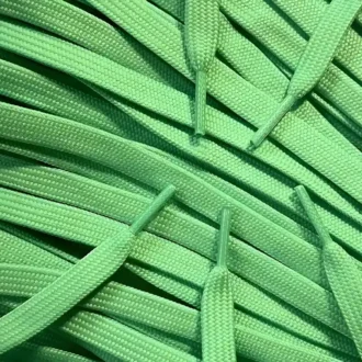 Nike Dunk laces veters Light Green lichtgroen