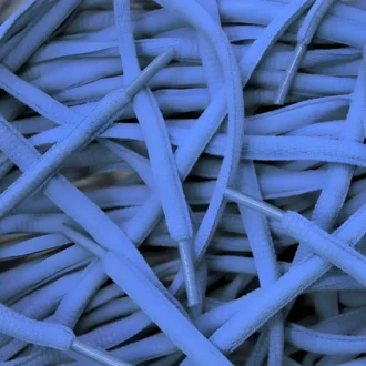 Nike SB Dunk veters laces Blue