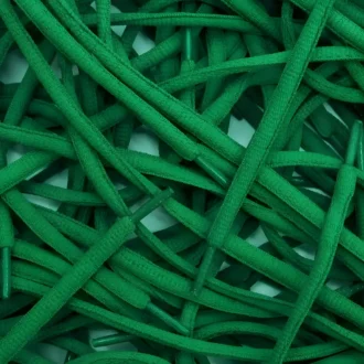 Nike SB Dunk veters laces Green