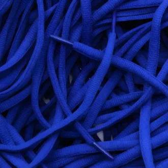 Nike SB Dunk veters laces Lake Blue