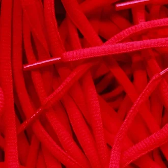 Nike SB Dunk veters laces Red