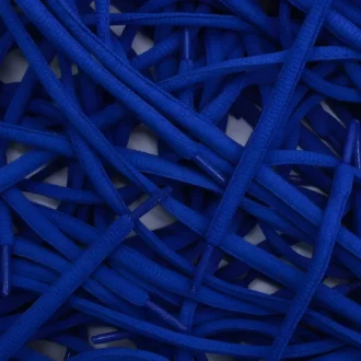 Nike SB Dunk veters laces Royal Blue