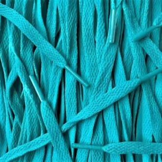 Nike laces Teal flat