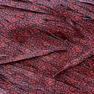 Print laces Cement Red