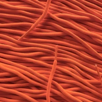 Rope Adidas Yeezy Nike Asics laces Orange