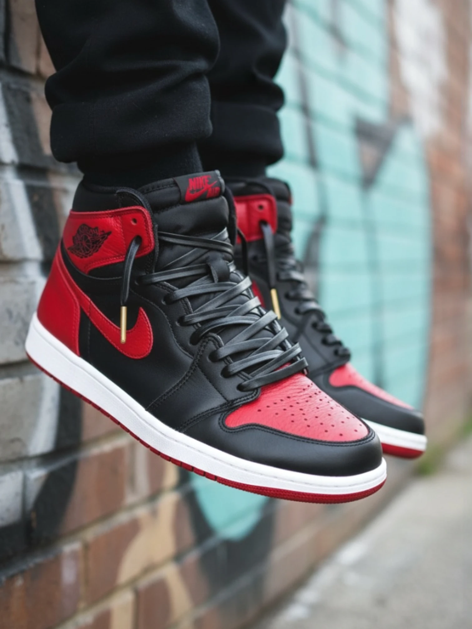 Veters Air Jordan Premium Lederen Veters